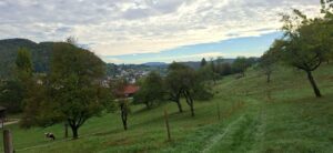 Zwei Dörfer, zwei Kantone, das Bistum Basel, Schloss Angenstein und der SAC